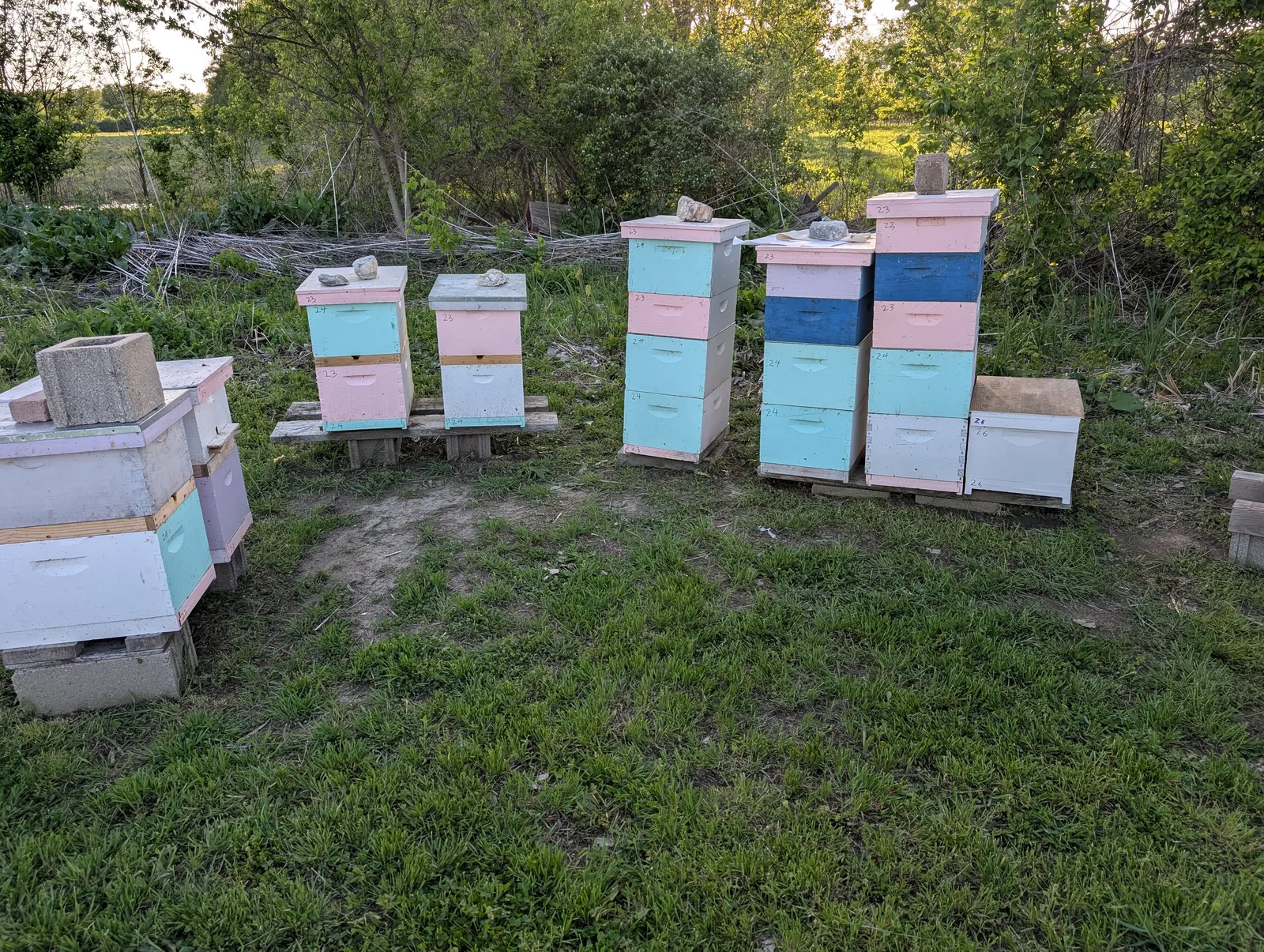 Apiary pod 1a