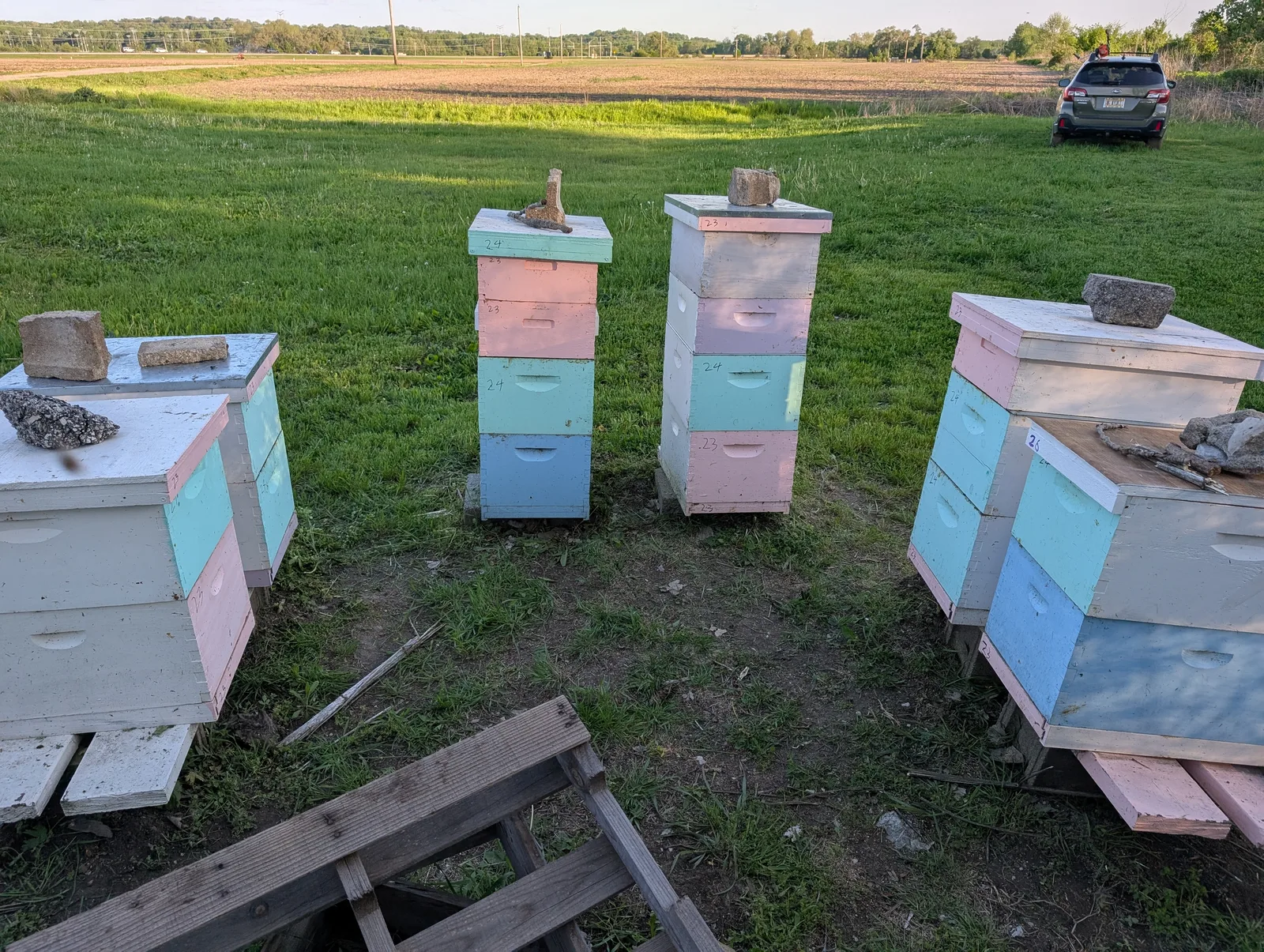 Apiary pod 2